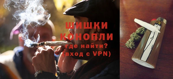 трава Осинники