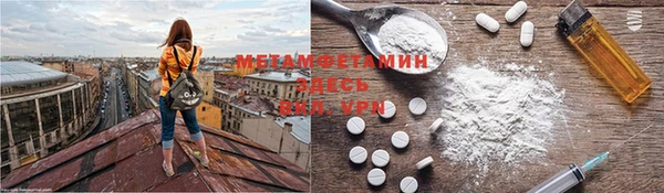 трава Осинники