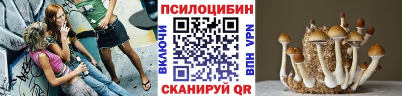 Галлюциногенные грибы Psilocybine cubensis МЕГА ССЫЛКА Оленегорск