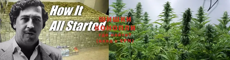 Шишки марихуана OG Kush  как найти закладки  Оленегорск 